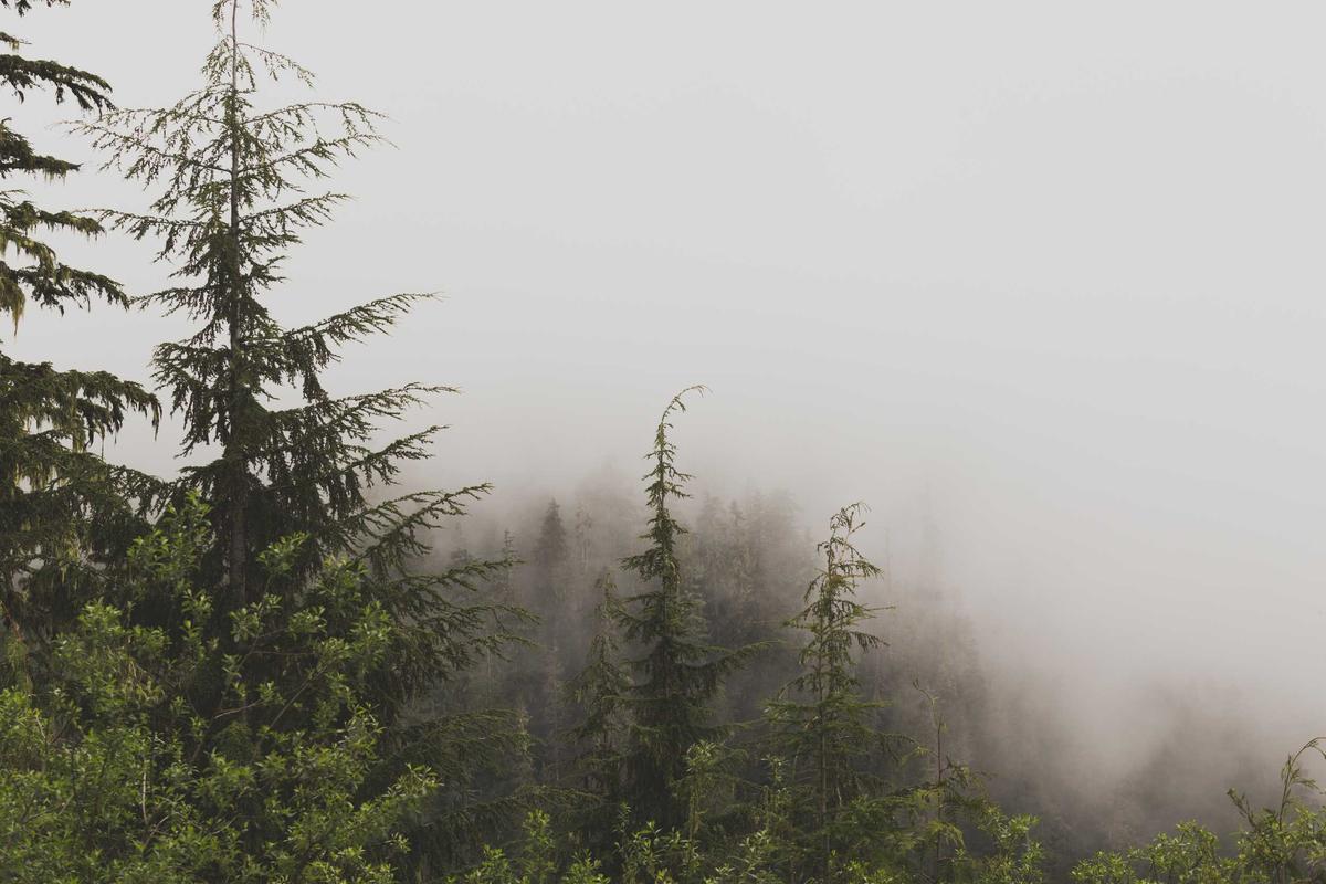 Ferienwohnung Sonnenblick Bad Rippoldsau Nr. 06